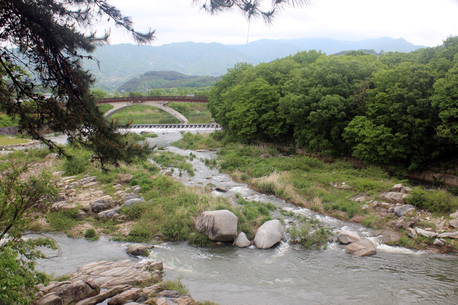 함양 상림 — 천령군 태수 시절 최치원이 조성했다고 전하는 숲. CC BY-SA 3.0 · 최옥석 · Wikimedia Commons